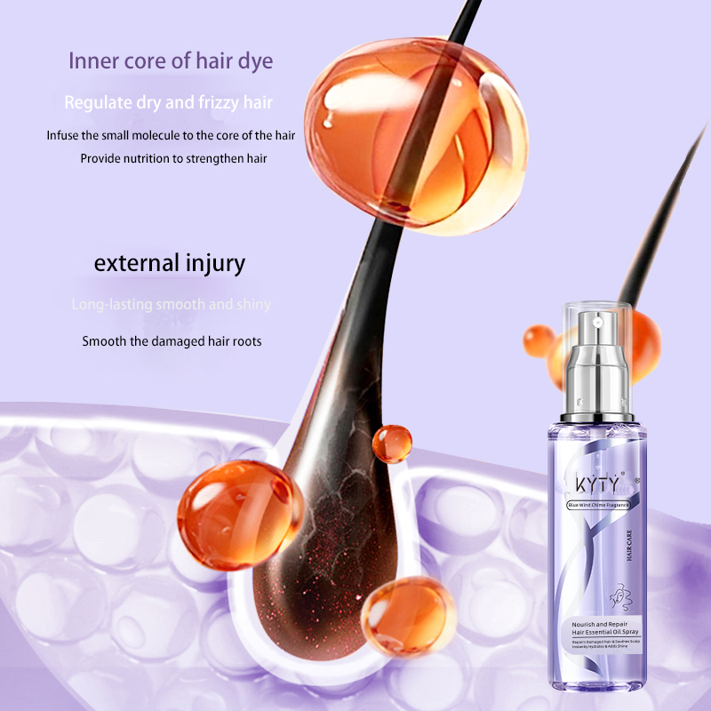 HANBOLI Kuru ve Kabarık Saçlar - Hair Care For Dry And Frizzy Hair incelemesi ve fiyatı